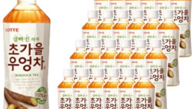🍂 놓치면 후회! 초가을우엉차 24 솔직 후기 & 꿀팁 대방출! 🍵