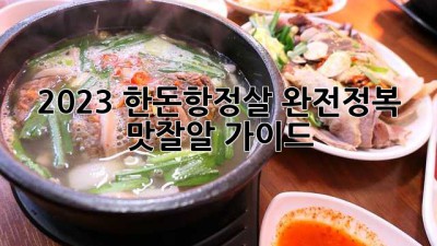💖 2023 한돈항정살 완전정복! 맛잘알 가이드 😋