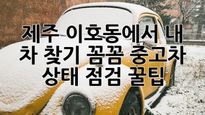 제주 이호동에서 내 차 찾기! 꼼꼼 중고차 상태 점검 꿀팁 🚗💨